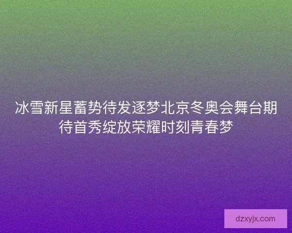 冰雪新星蓄势待发逐梦北京冬奥会舞台期待首秀绽放荣耀时刻青春梦
